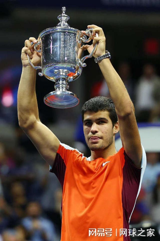 收录和排名 收录和排名